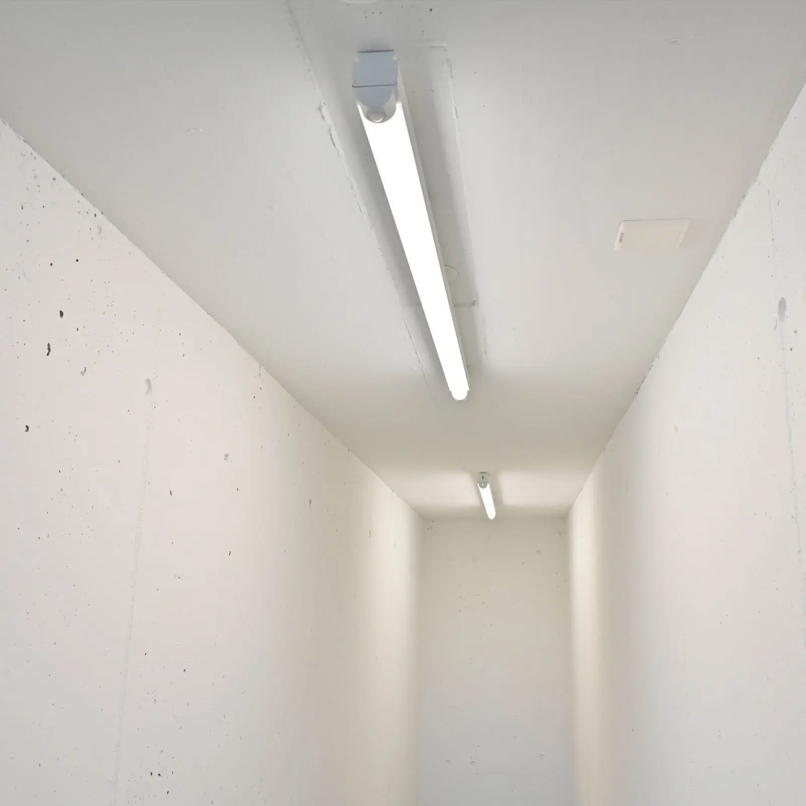 Cave éclairée avec luminaires TRIVALITE au plafond
